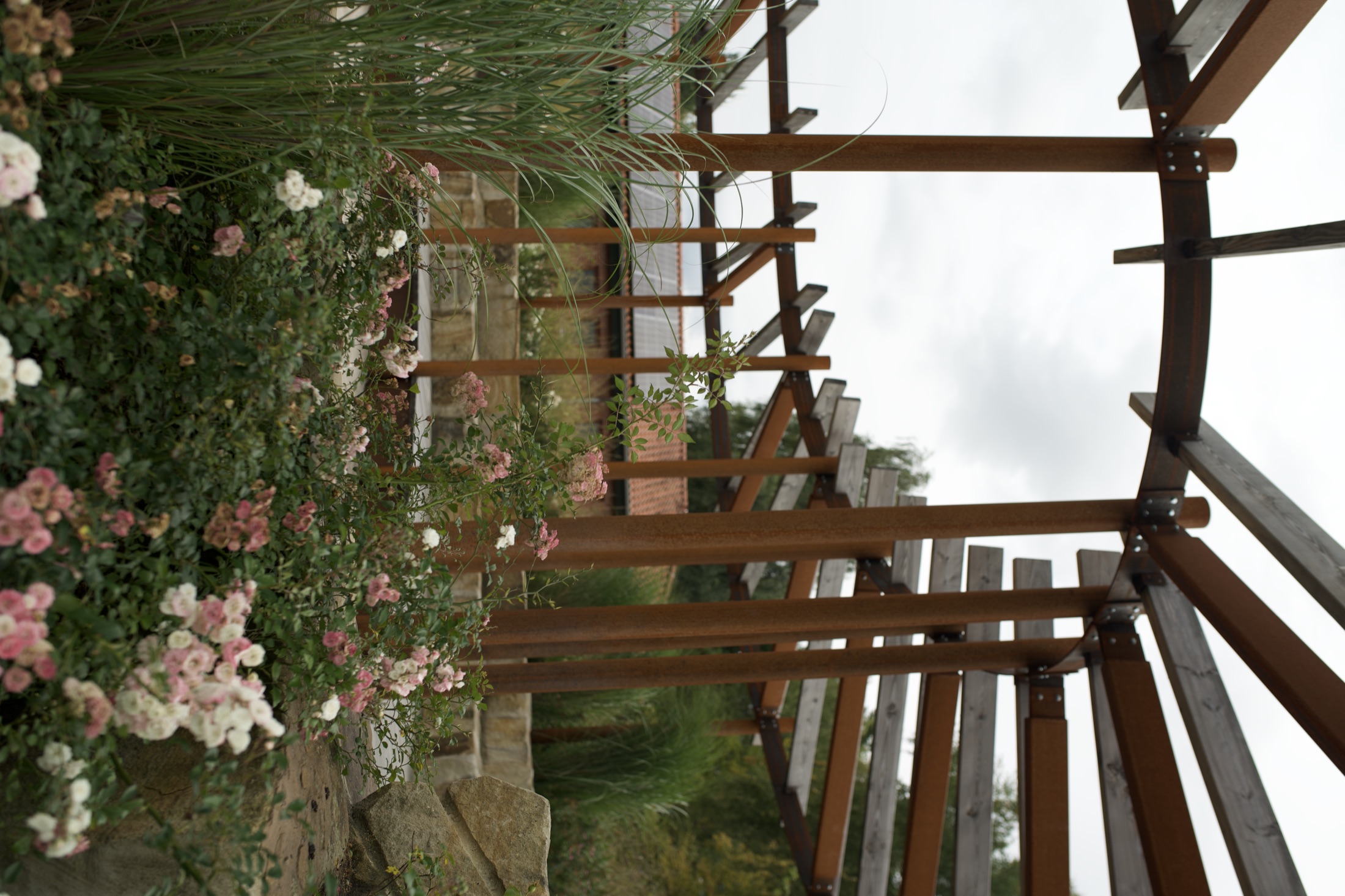Staudenbeet mit Ziergräsern und Rosen unter einer Pergola, Projekt Ahlhorn