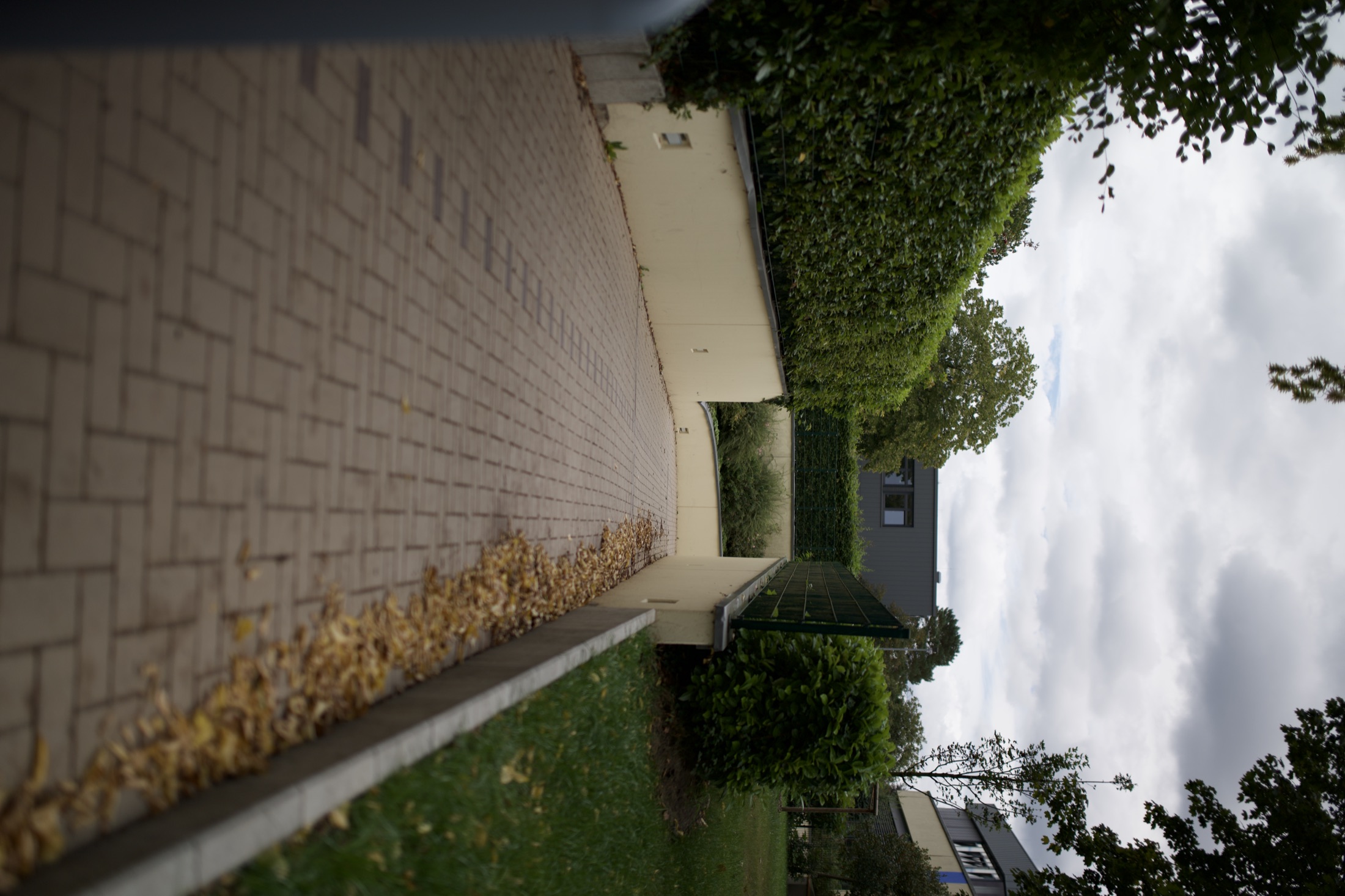 Gepflasterter Schulweg mit Bepflanzung, Projekt Schulhof Gymnasium