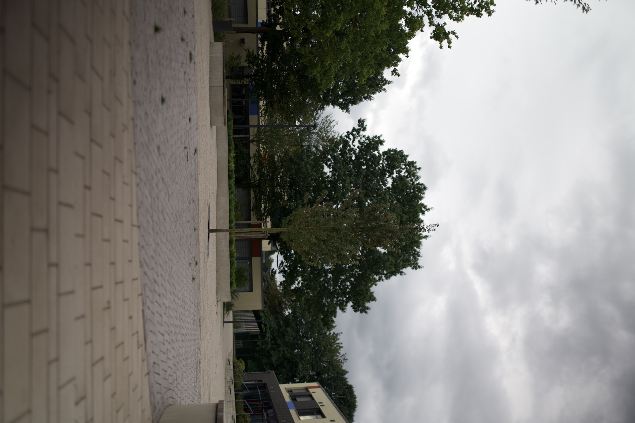 Schulhof Gymnasium — Foto 12