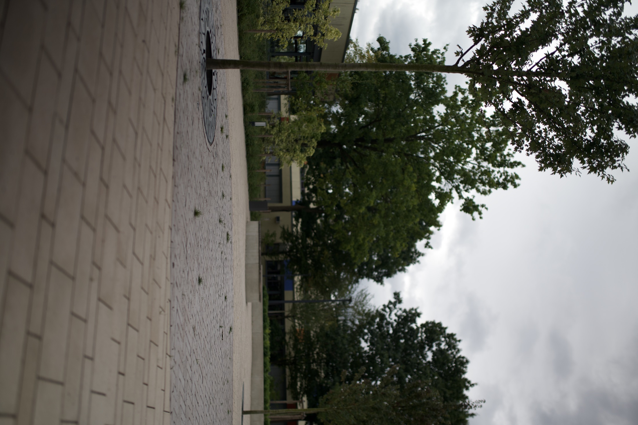 Schulhof Gymnasium — Foto 13