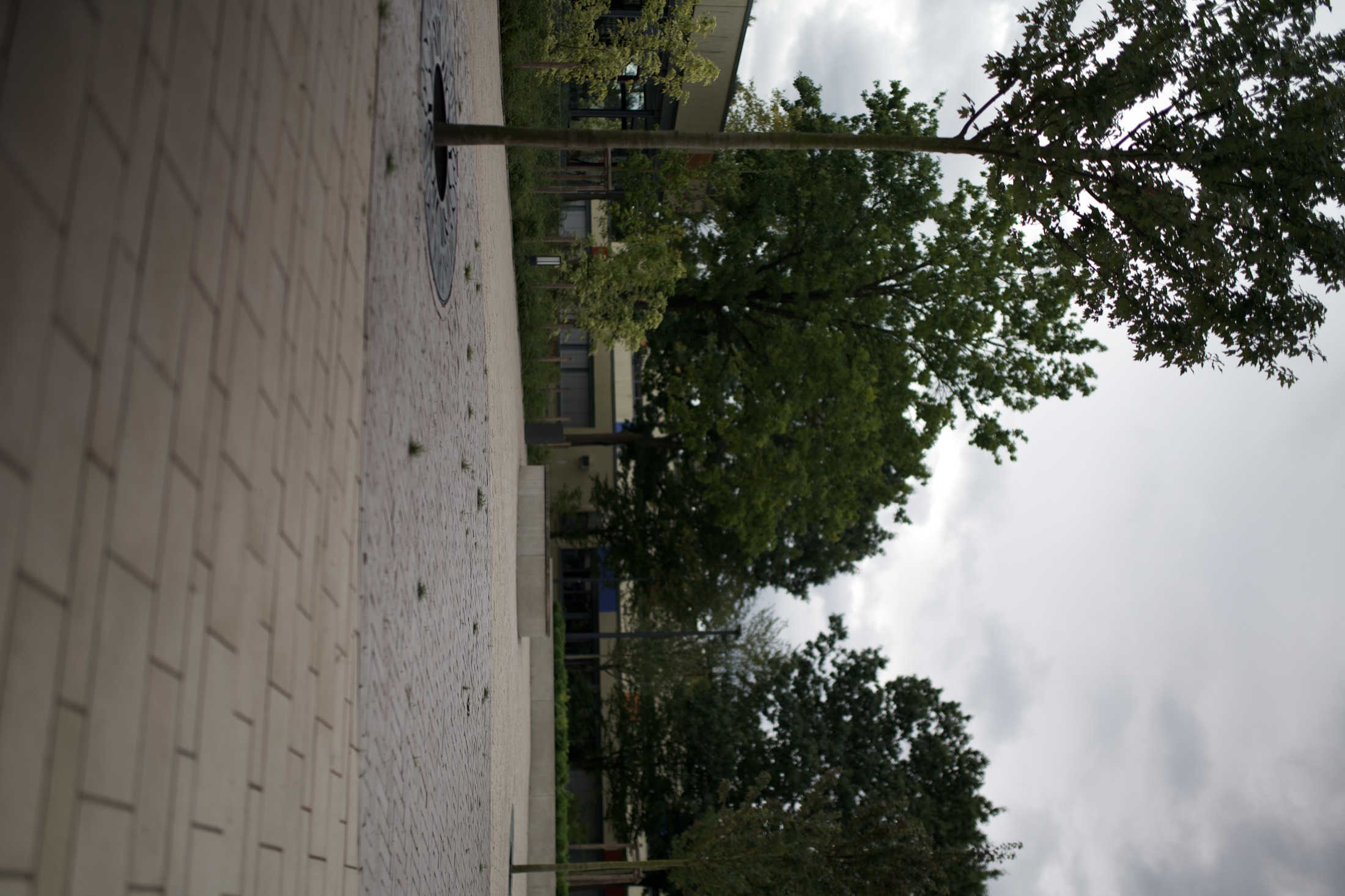 Schulhof Gymnasium — Foto 14