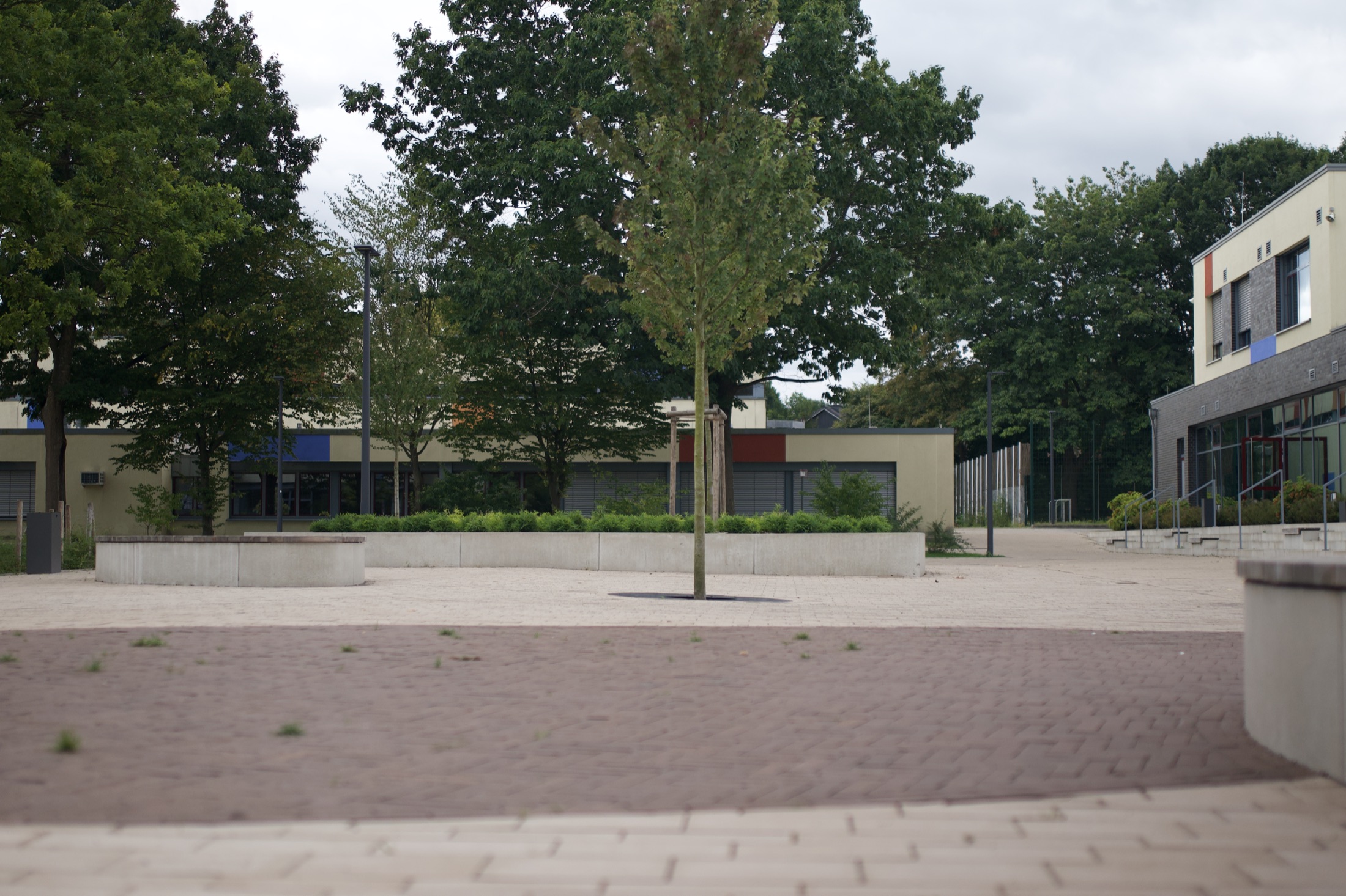 Schulhof Gymnasium — Foto 15