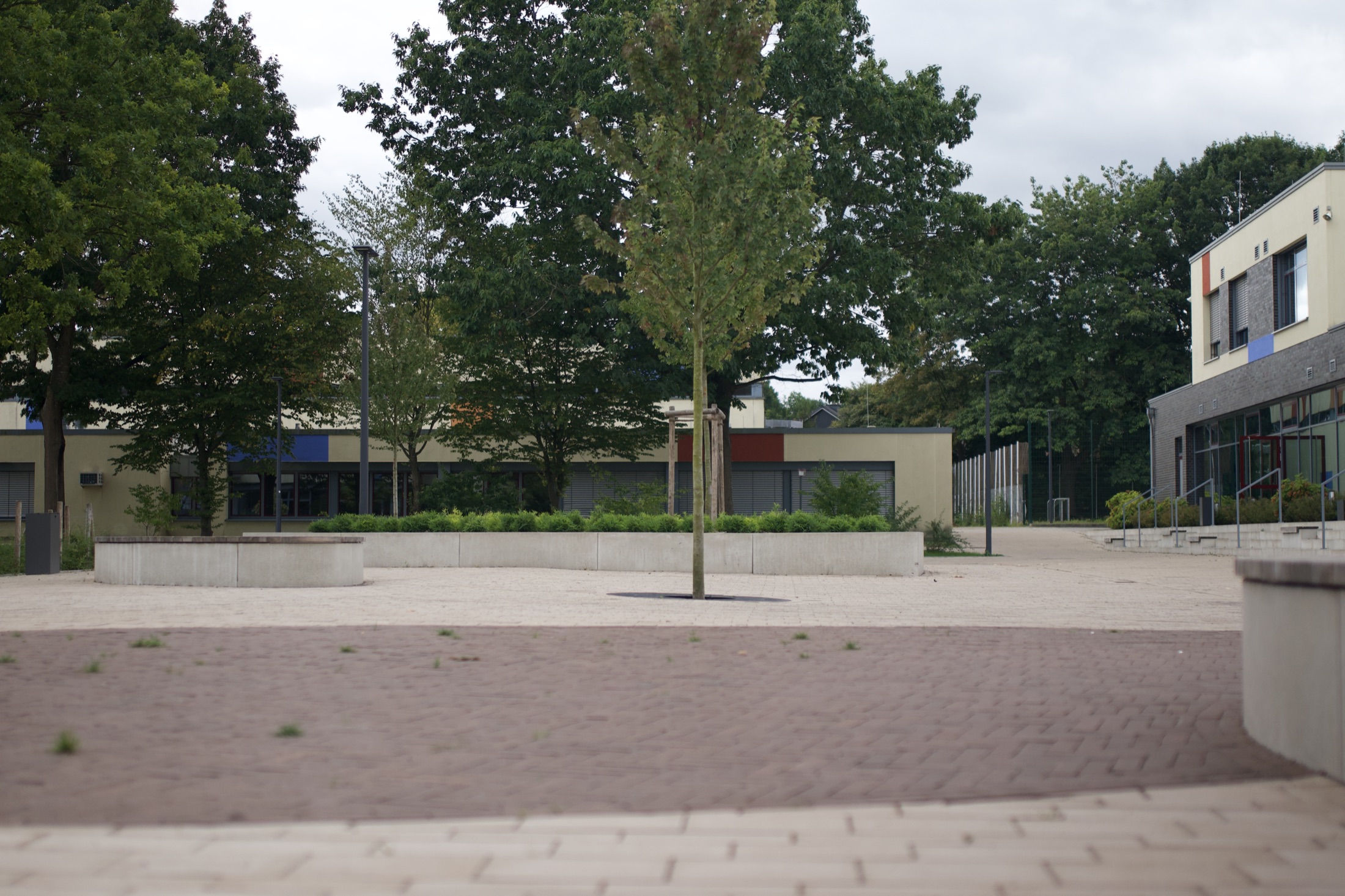 Schulhof Gymnasium — Foto 16