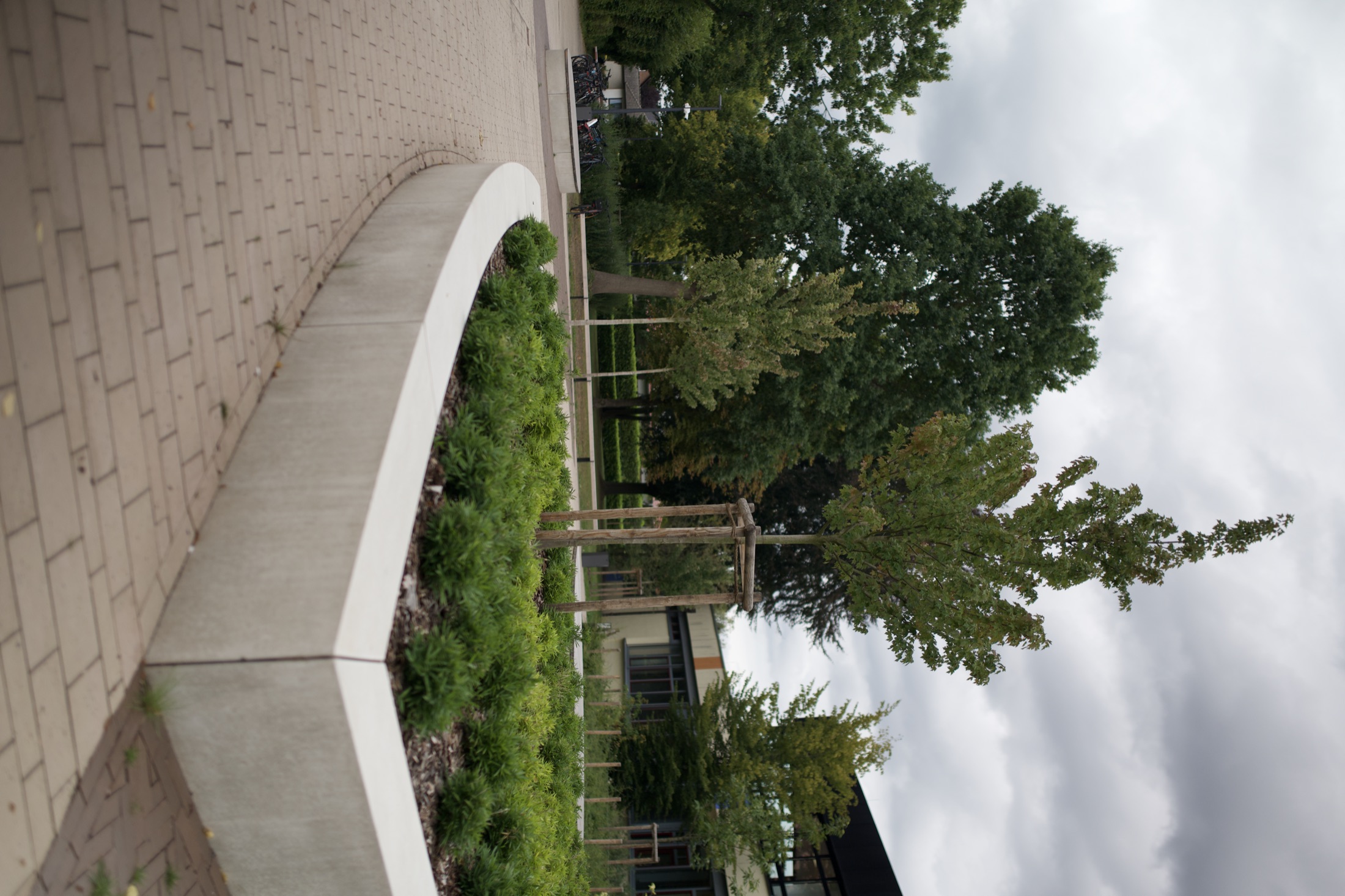 Schulhof Gymnasium — Foto 21