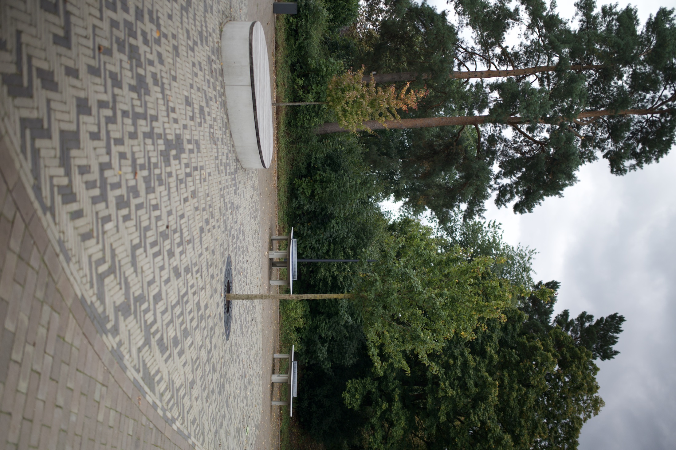 Schulhof Gymnasium — Foto 34