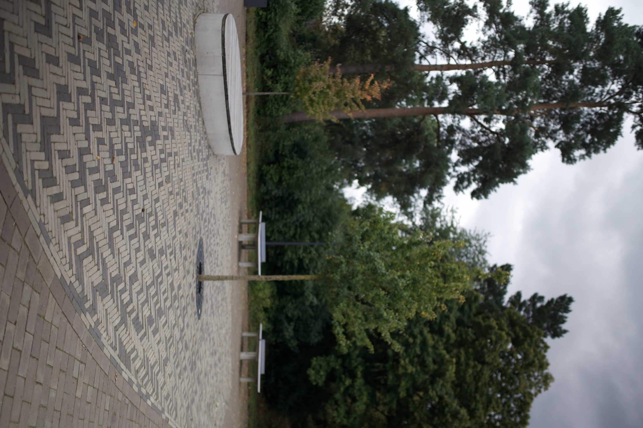 Schulhof Gymnasium — Foto 36