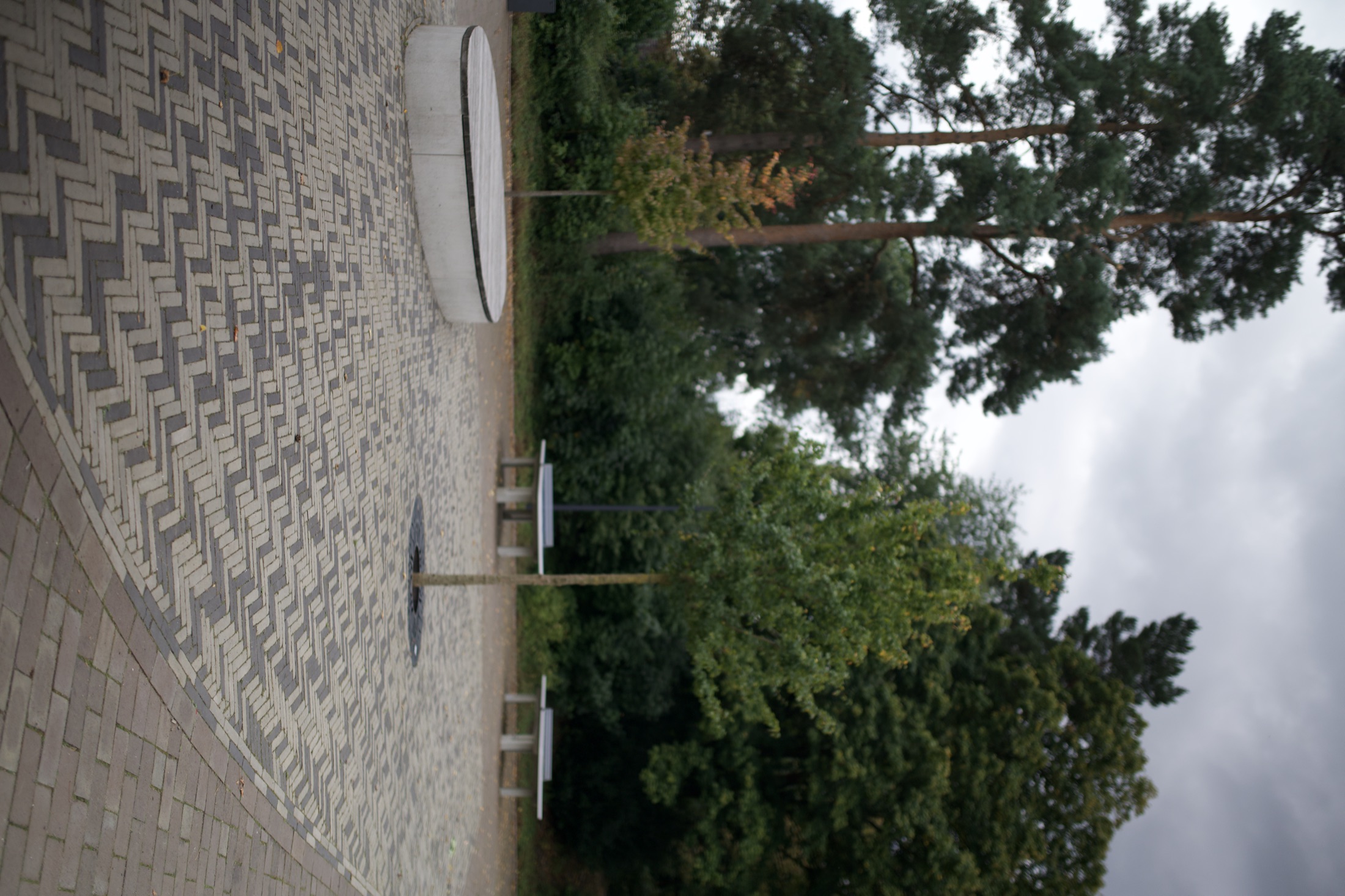 Schulhof Gymnasium — Foto 37