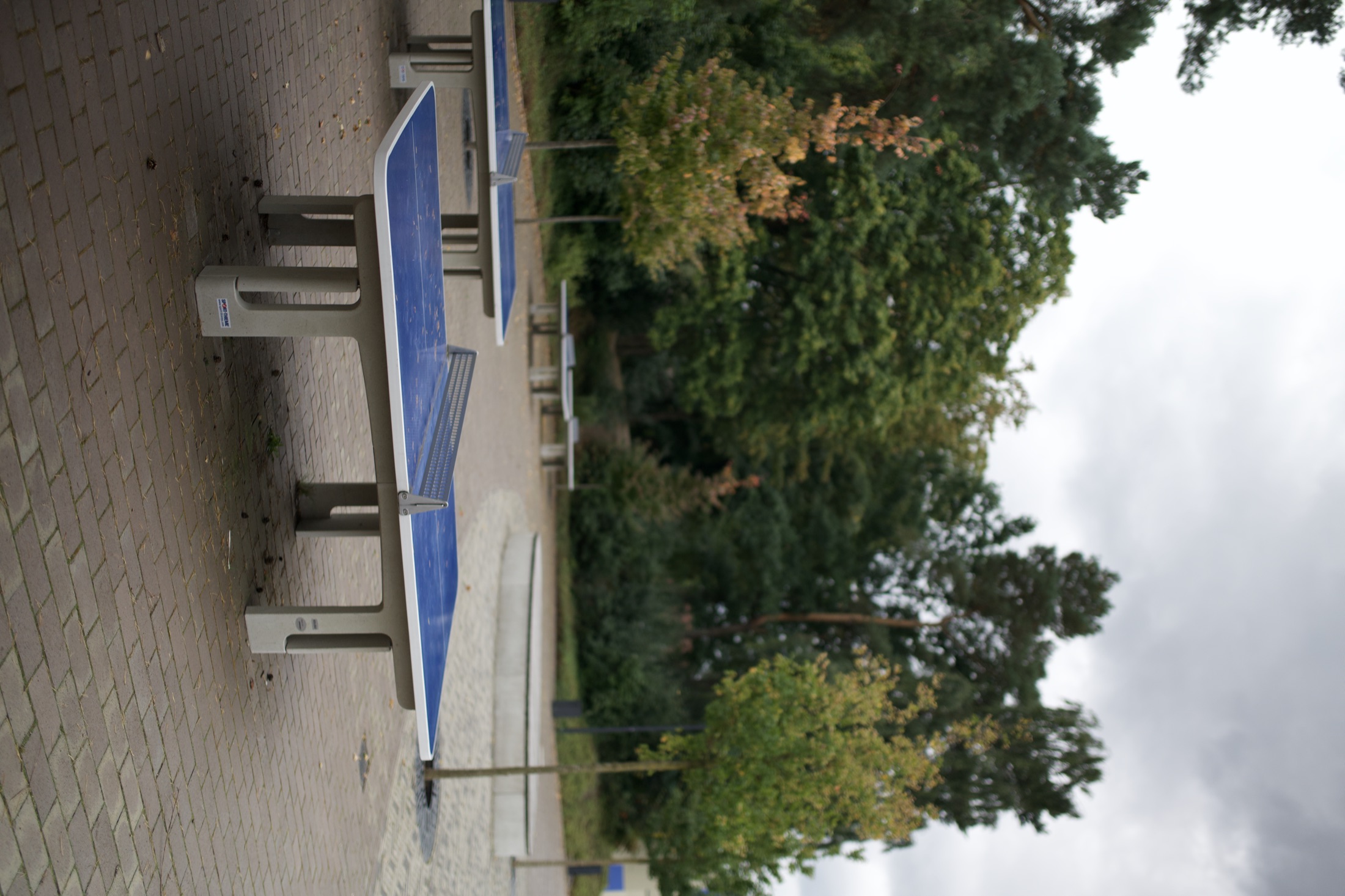 Schulhof Gymnasium — Foto 38