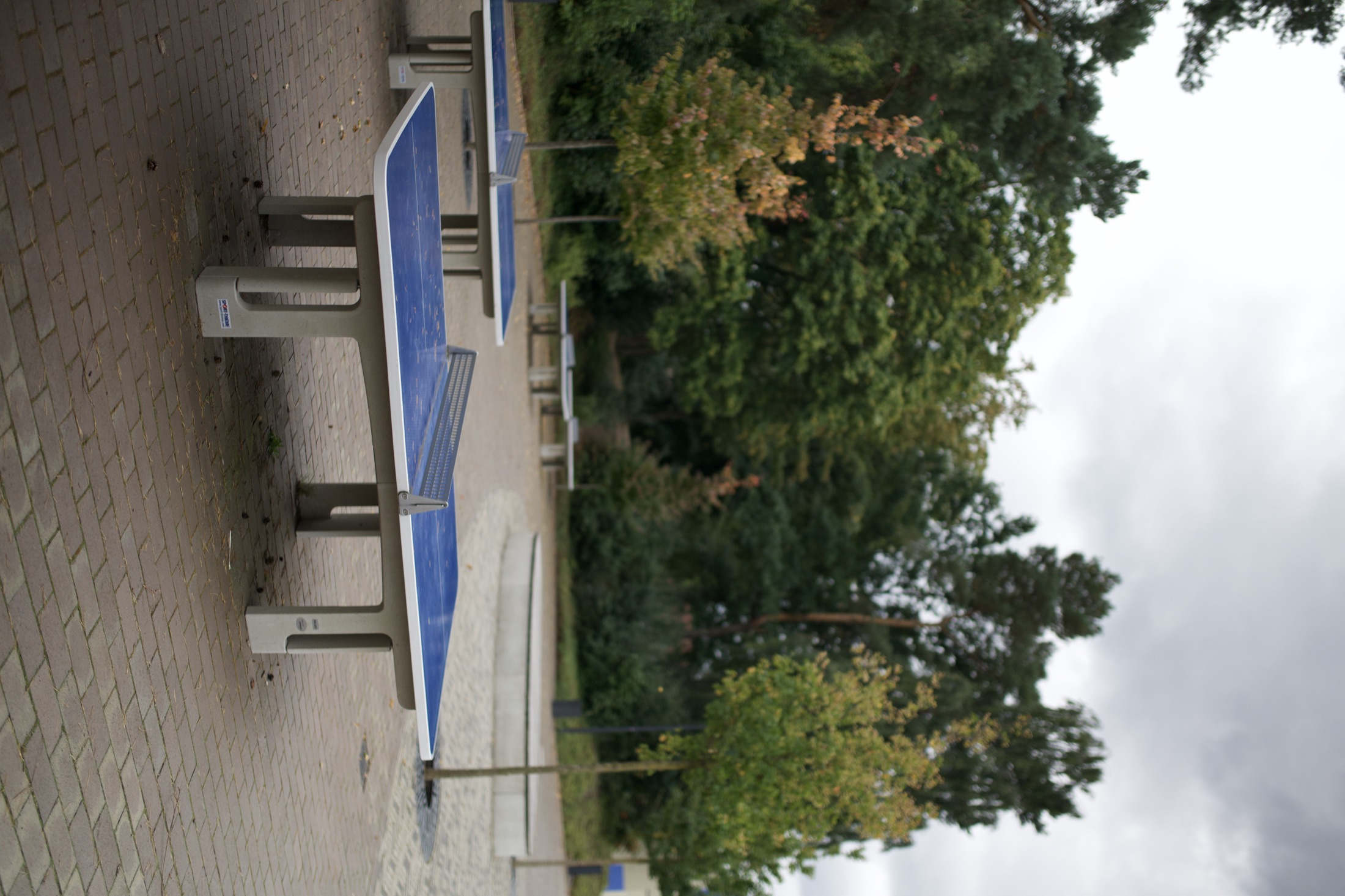 Schulhof Gymnasium — Foto 39