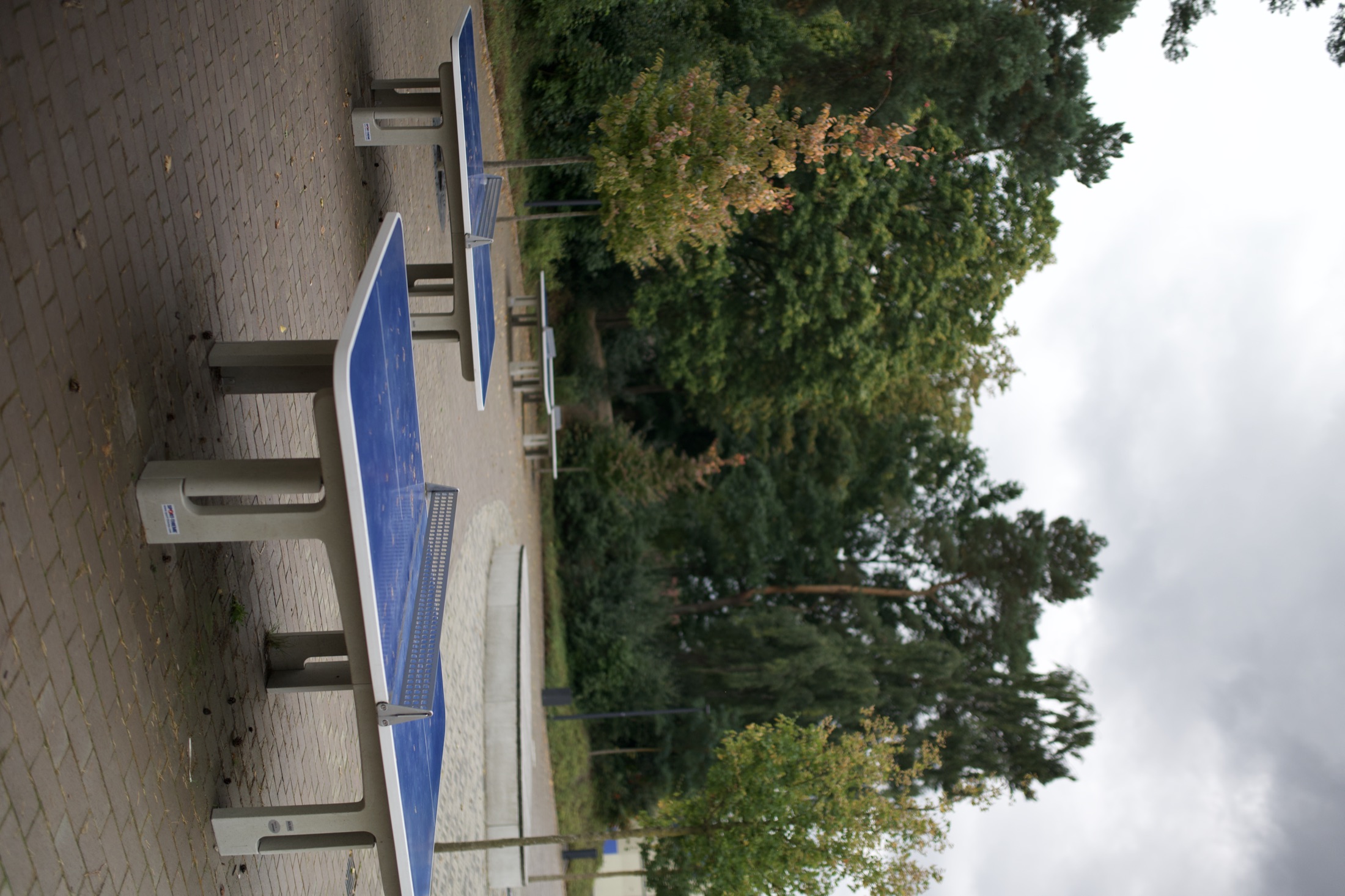 Schulhof Gymnasium — Foto 40