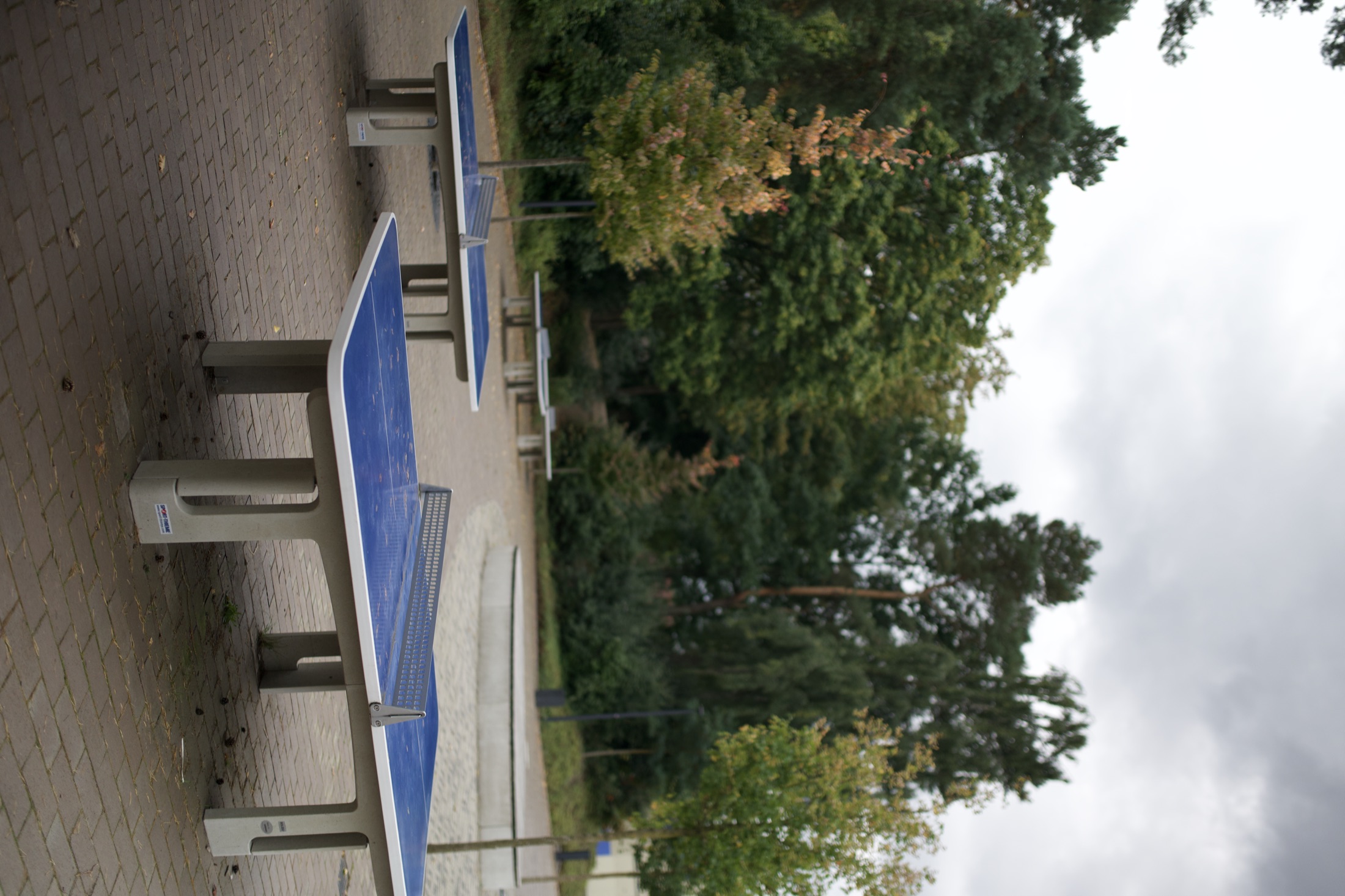 Schulhof Gymnasium — Foto 41