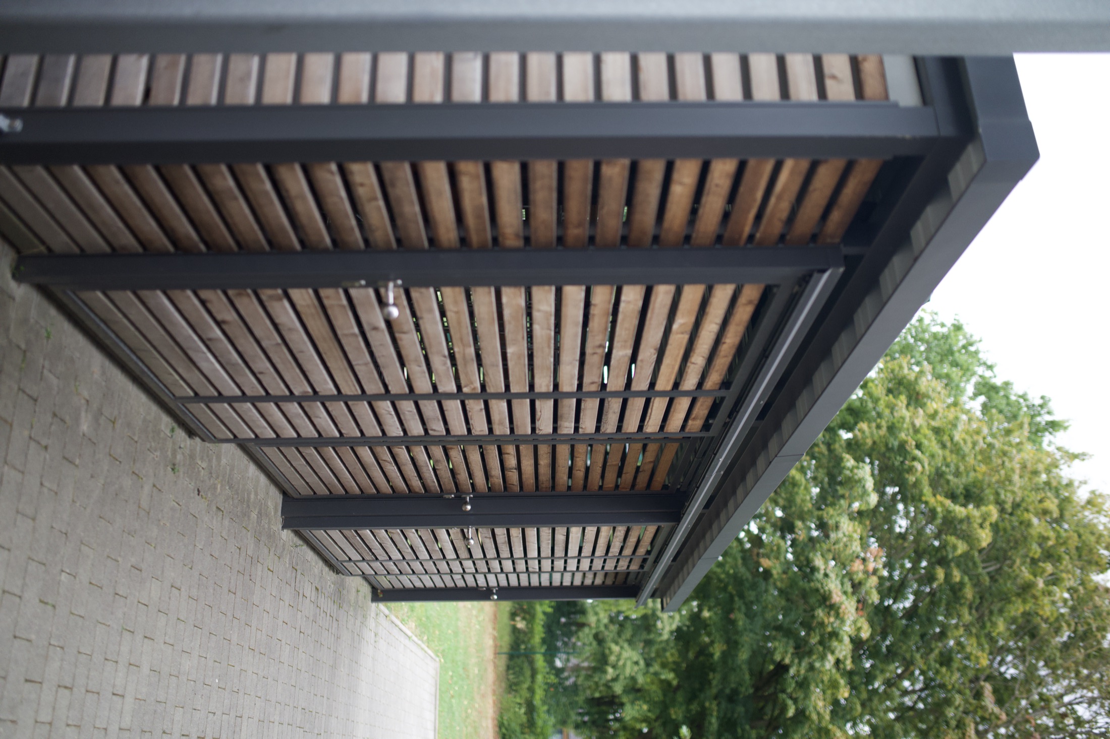Schulhof Gymnasium — Foto 63