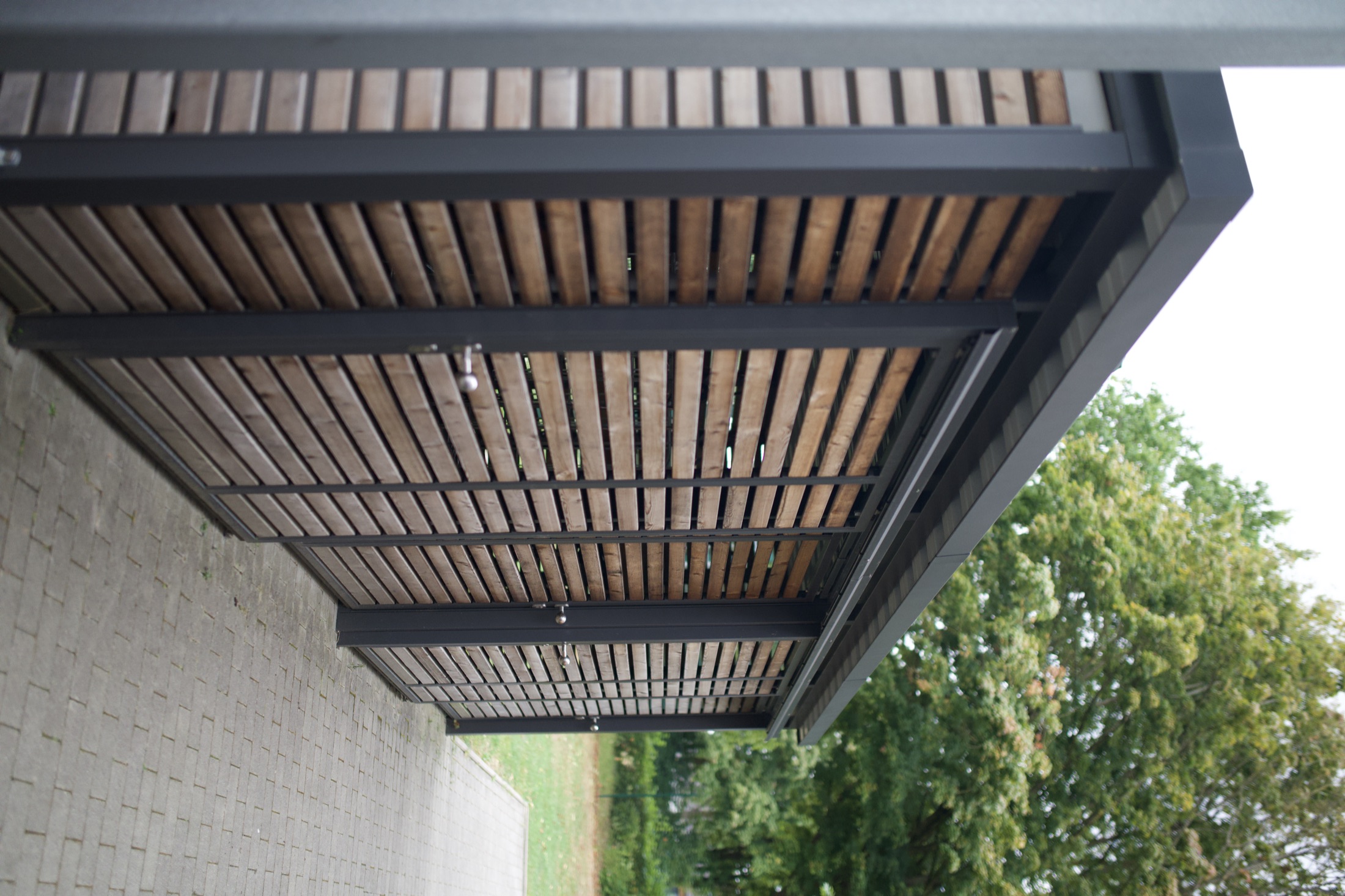 Schulhof Gymnasium — Foto 64