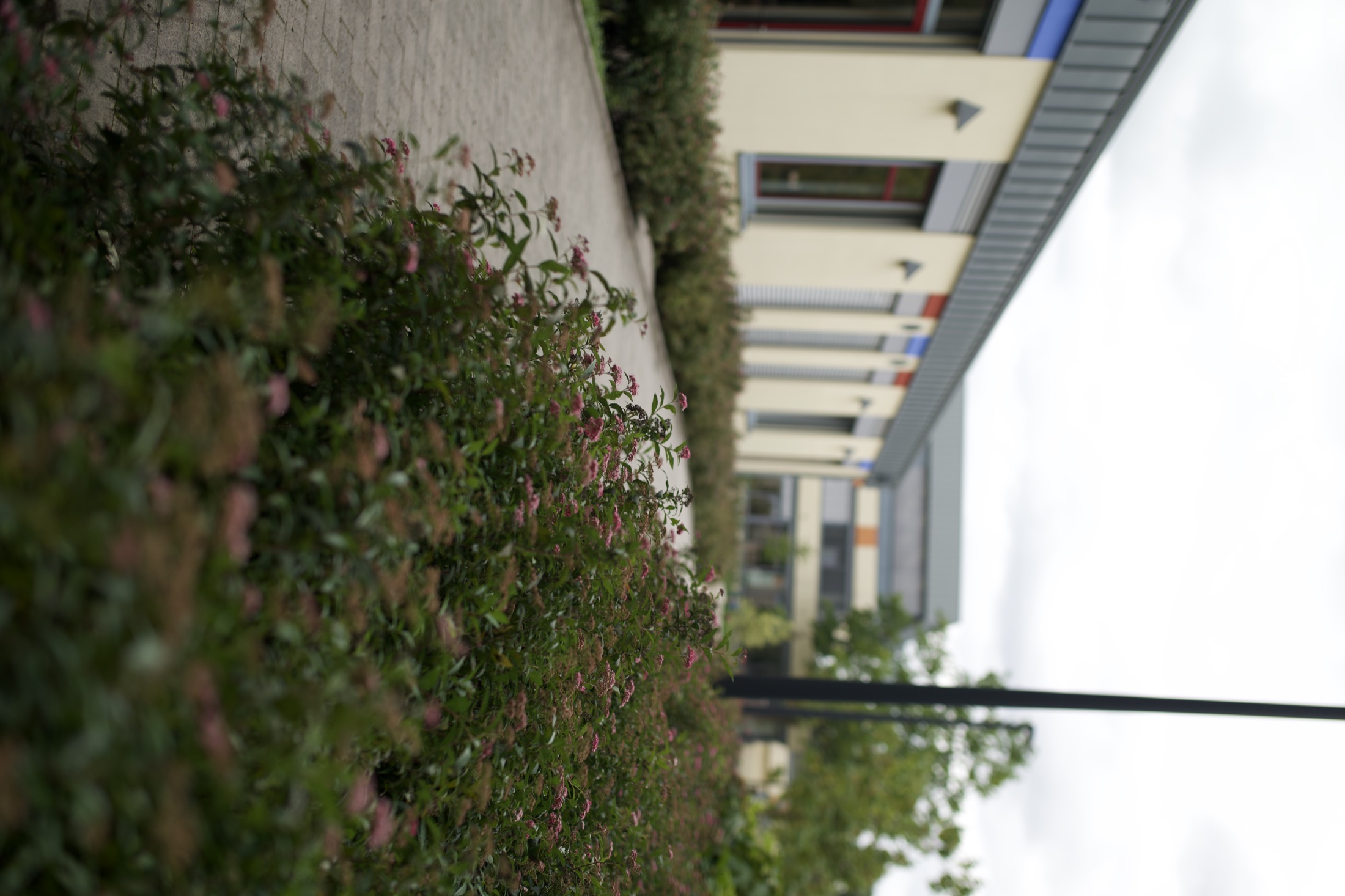 Schulhof Gymnasium — Foto 67