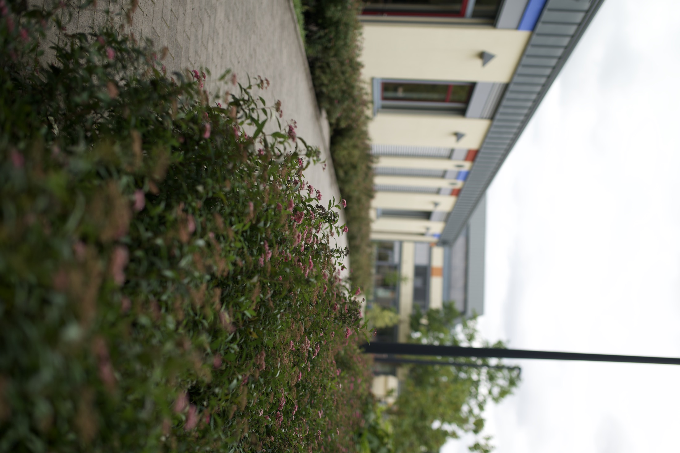 Schulhof Gymnasium — Foto 68