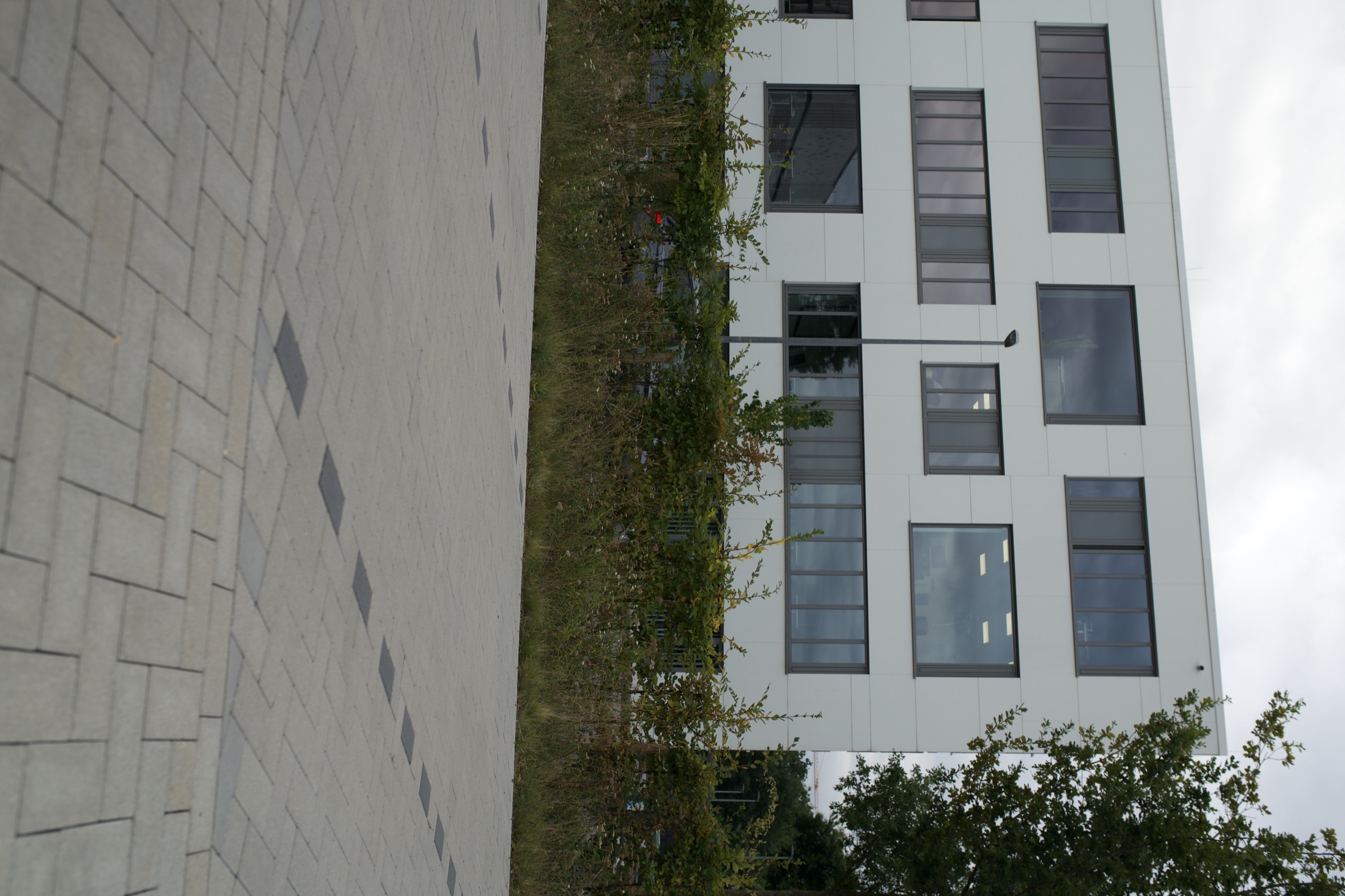 Außenanlage Helmholtz-Institut — Foto 2