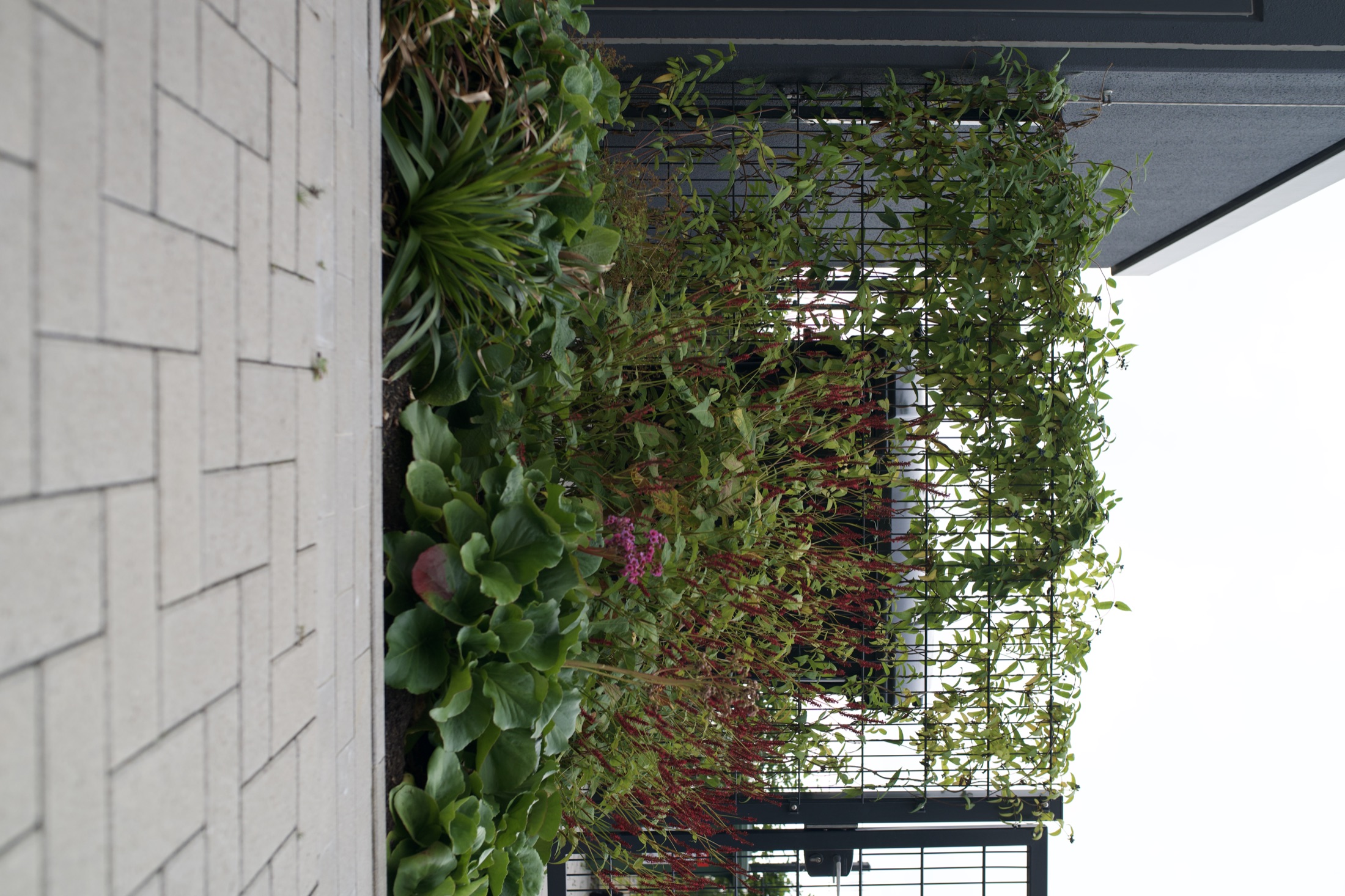 Außenanlage Helmholtz-Institut — Foto 8