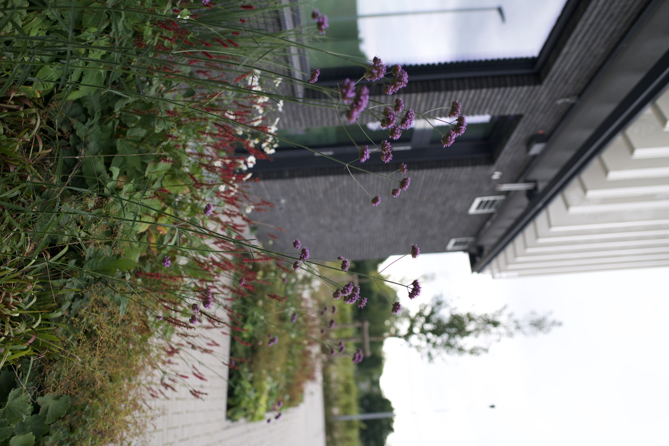 Außenanlage Helmholtz-Institut — Foto 13