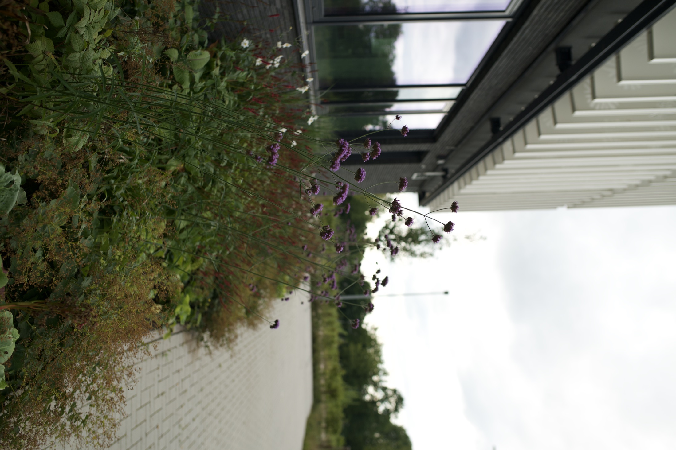 Außenanlage Helmholtz-Institut — Foto 14