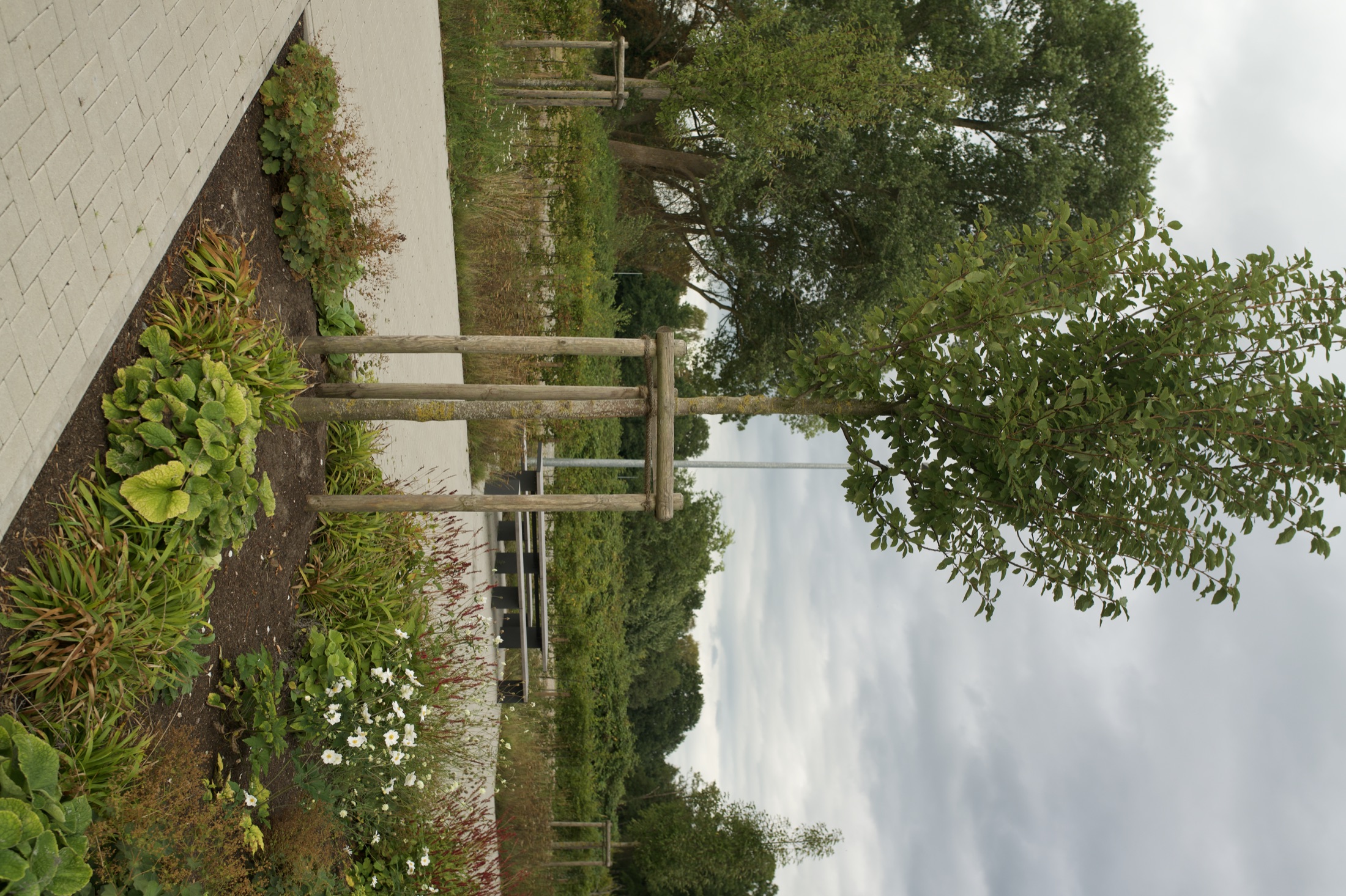 Außenanlage Helmholtz-Institut — Foto 17