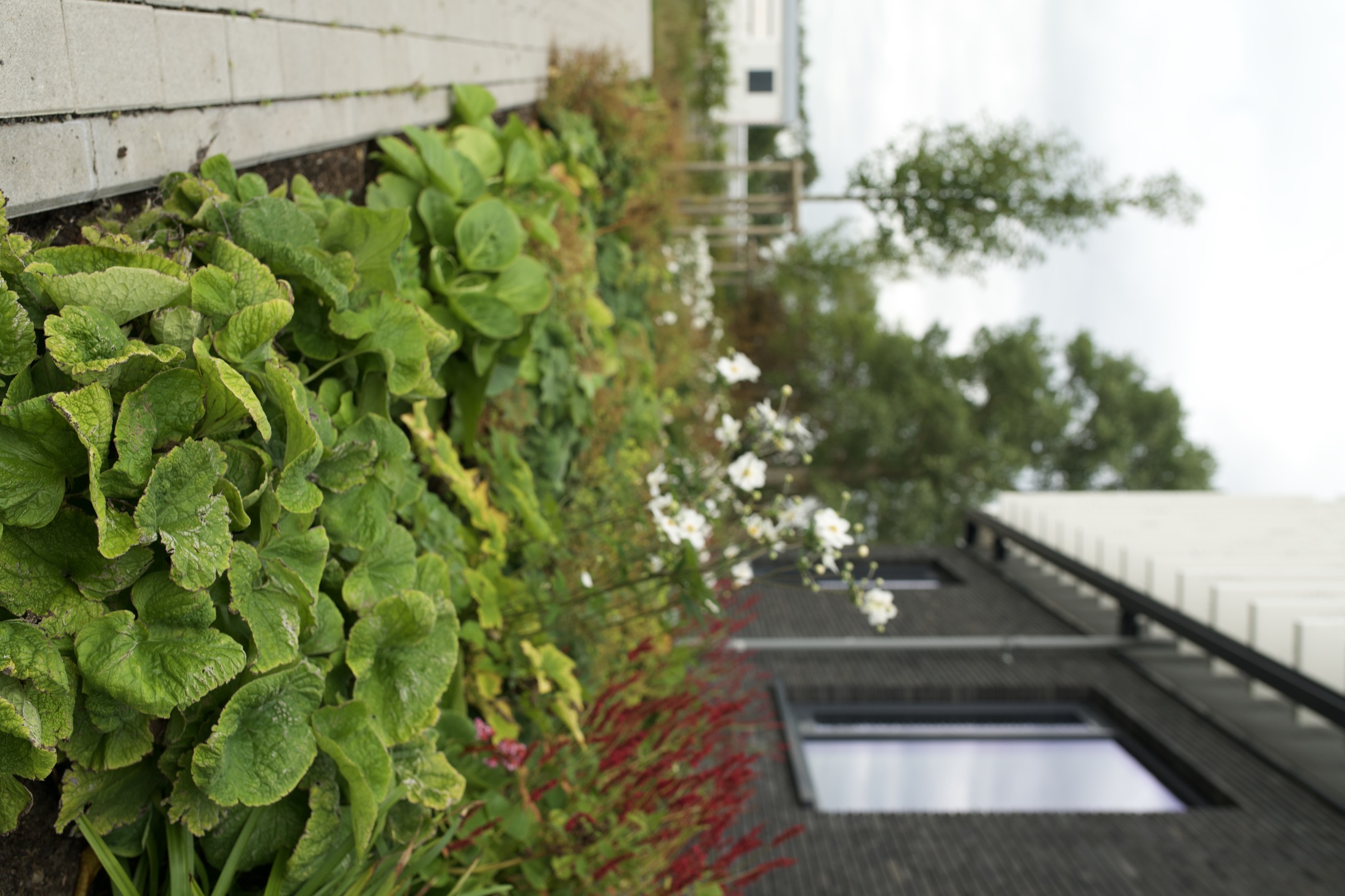 Außenanlage Helmholtz-Institut — Foto 18