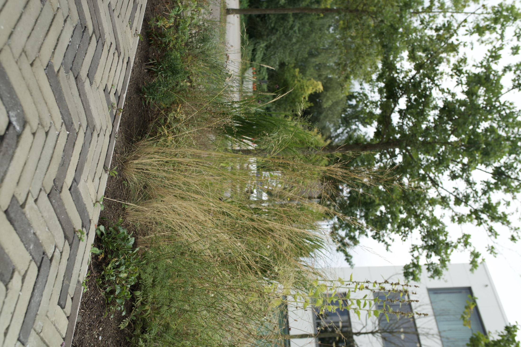 Außenanlage Helmholtz-Institut — Foto 20