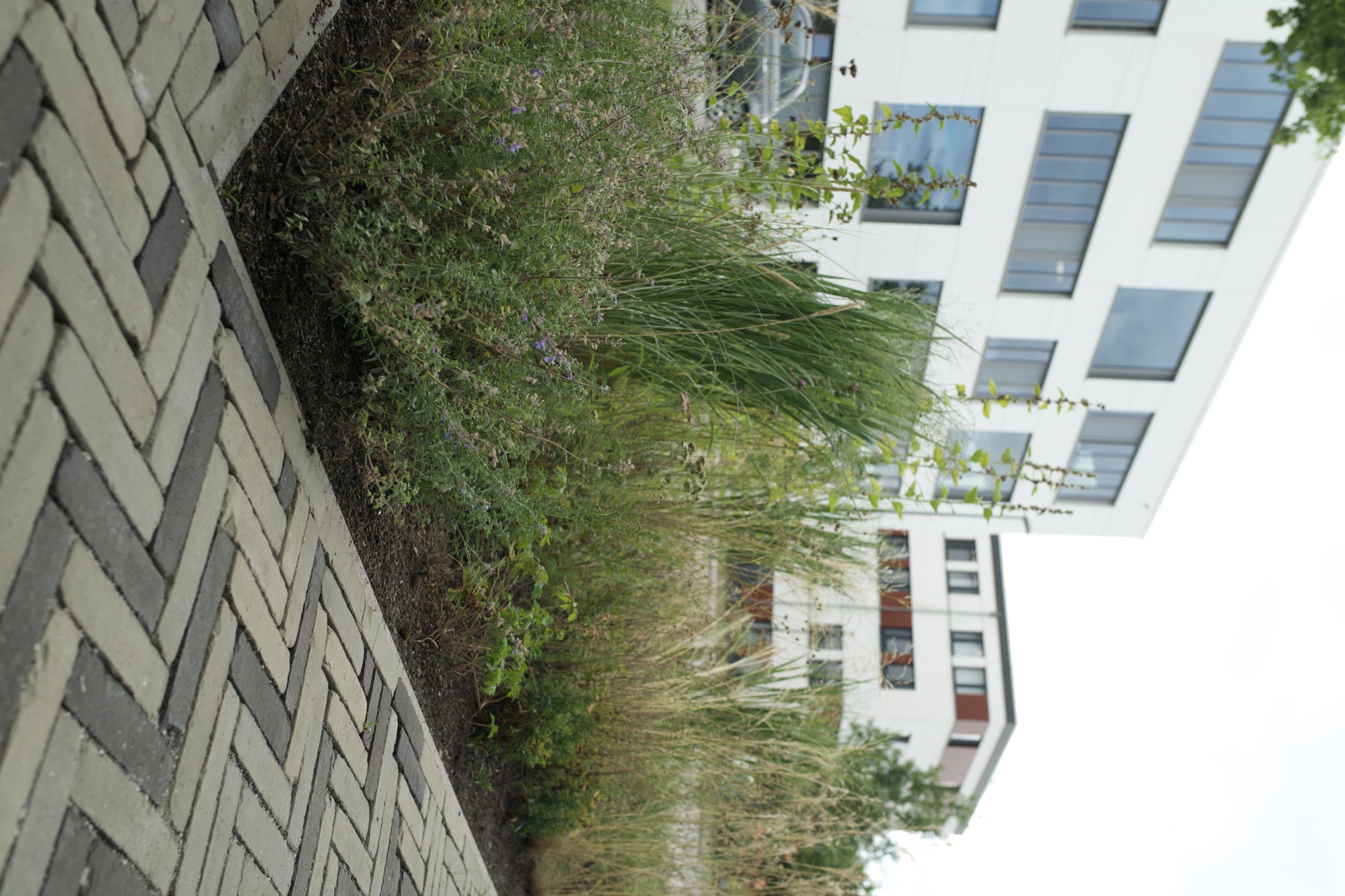 Außenanlage Helmholtz-Institut — Foto 22