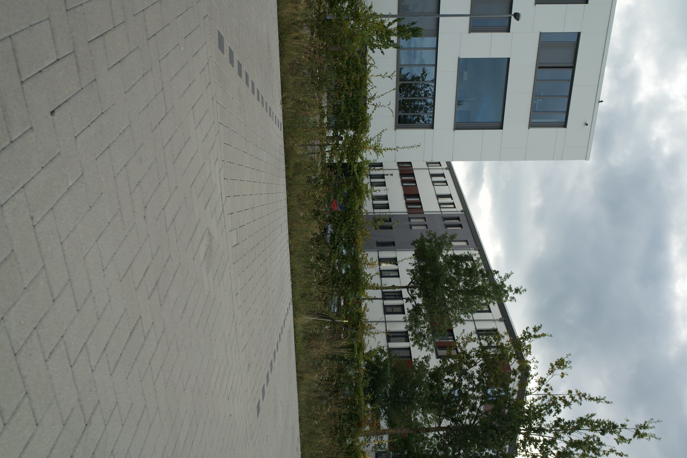 Außenanlage Helmholtz-Institut — Foto 26