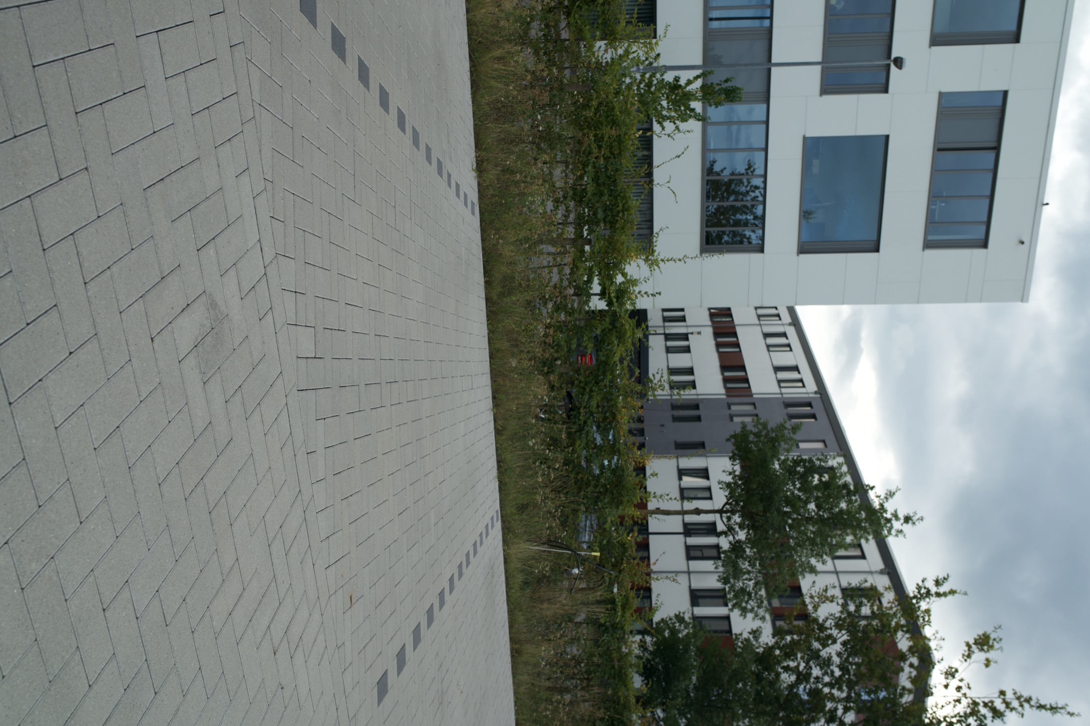 Außenanlage Helmholtz-Institut — Foto 27
