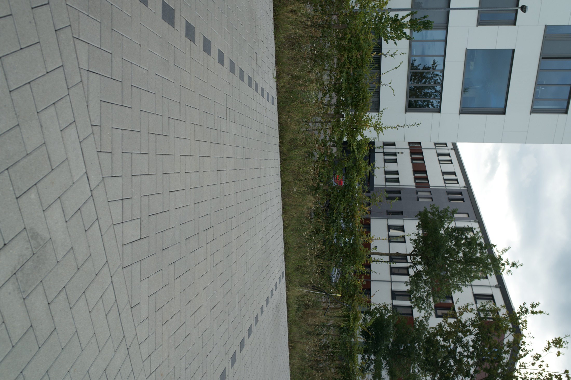 Außenanlage Helmholtz-Institut — Foto 28
