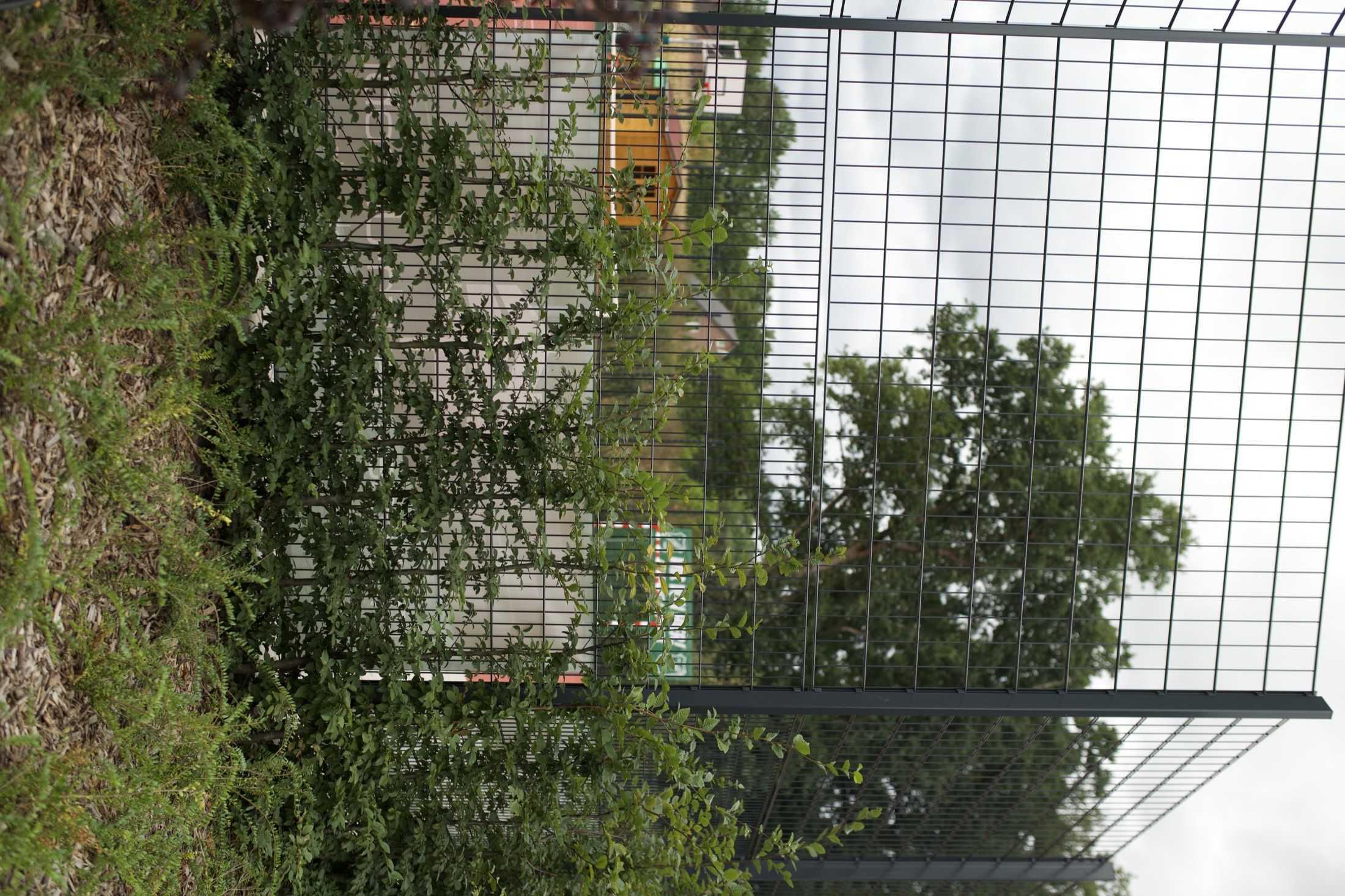 Bolzplatz Neerstedt — Foto 12