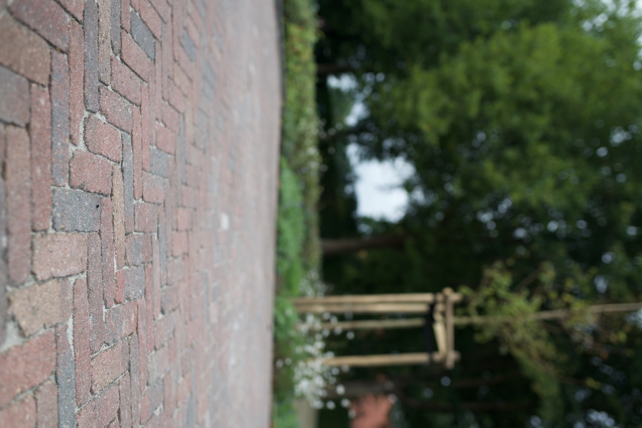 Sportplatz — Neubau mit Holzbau — Foto 6
