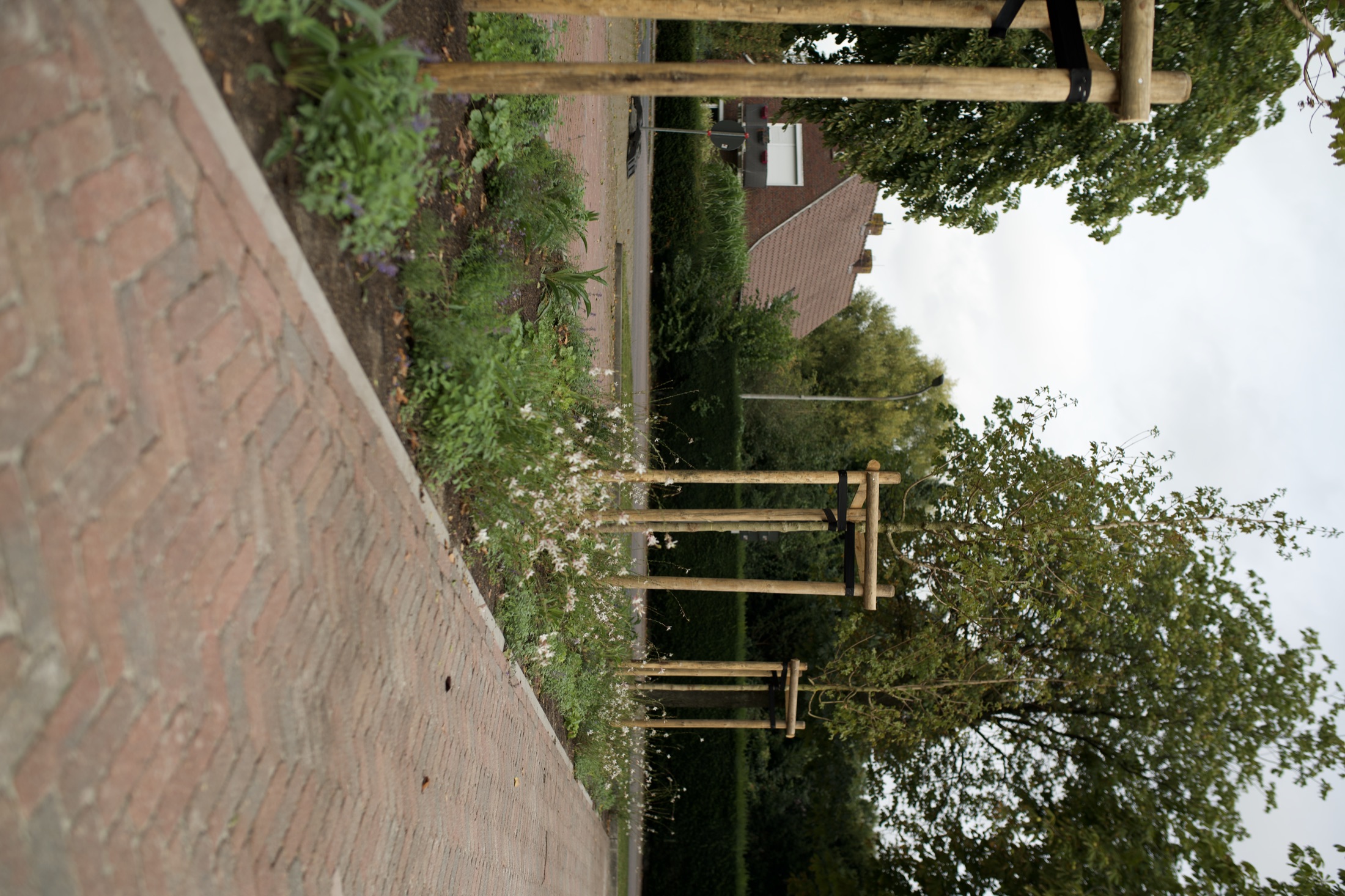 Sportplatz — Neubau mit Holzbau — Foto 7
