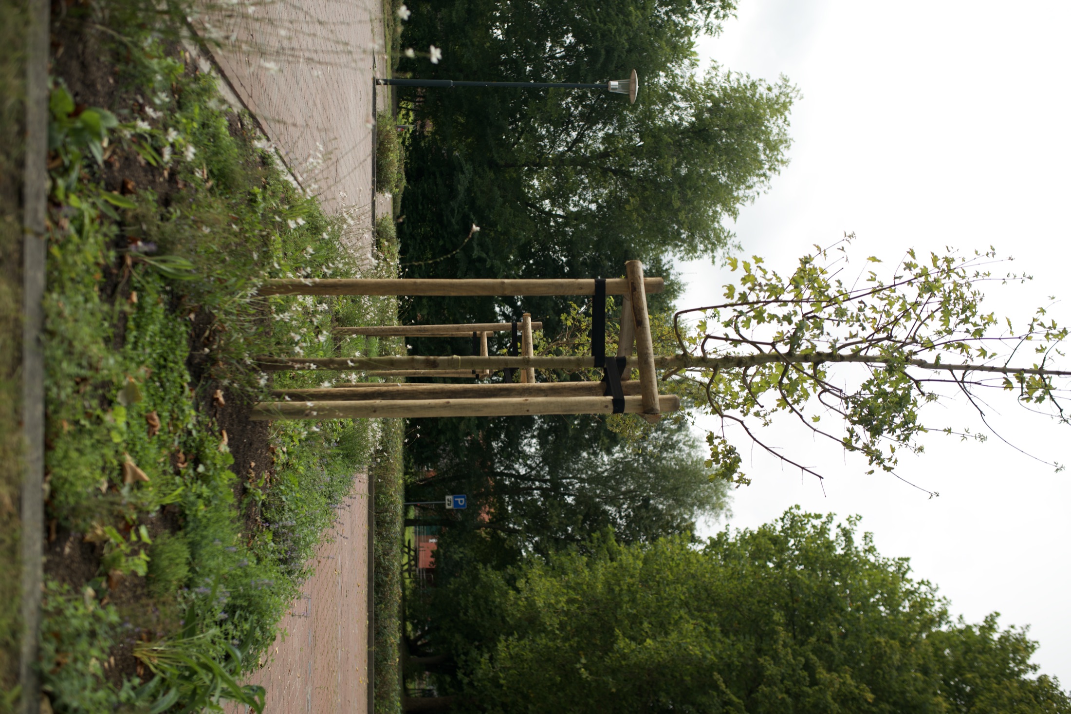 Sportplatz — Neubau mit Holzbau — Foto 9
