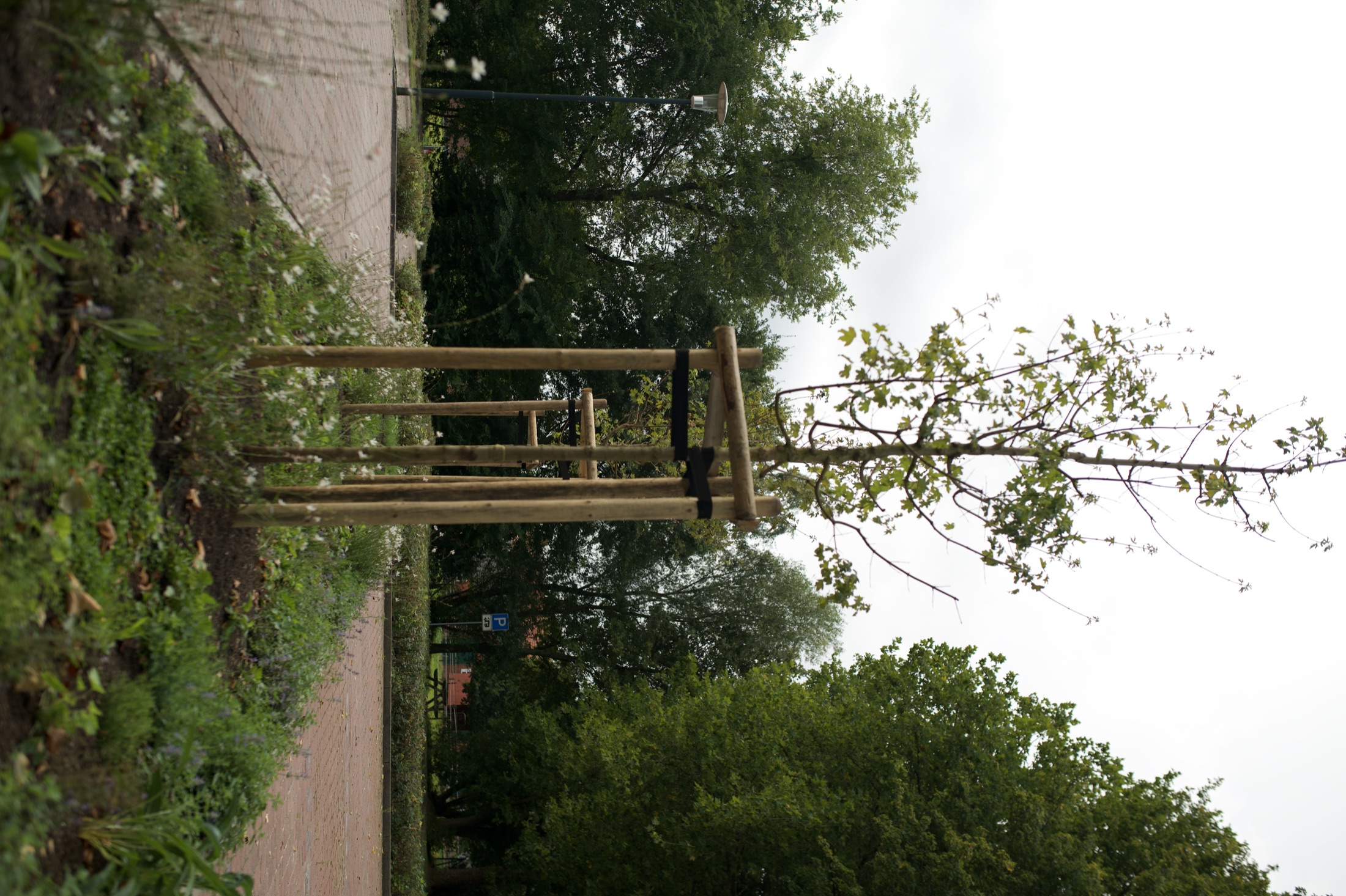 Sportplatz — Neubau mit Holzbau — Foto 10
