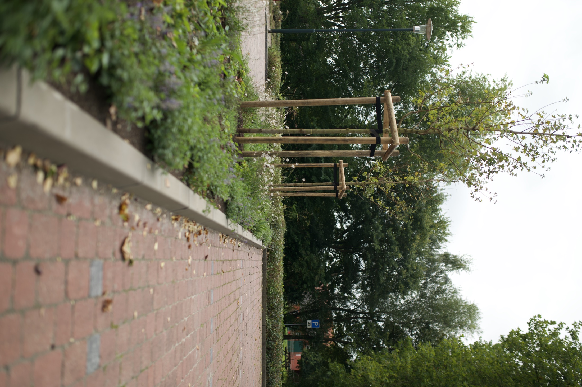 Sportplatz — Neubau mit Holzbau — Foto 11