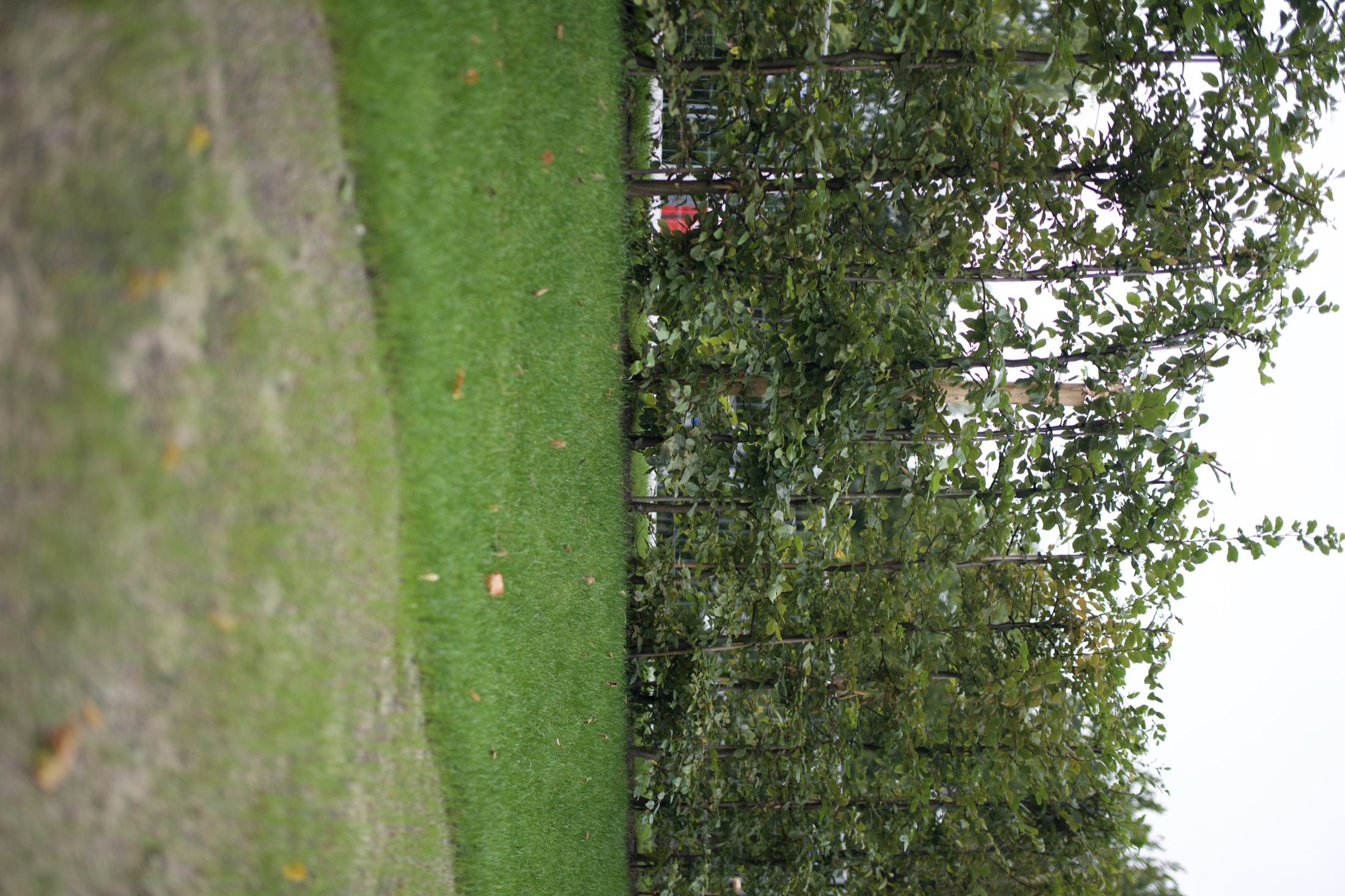 Sportplatz — Neubau mit Holzbau — Foto 25