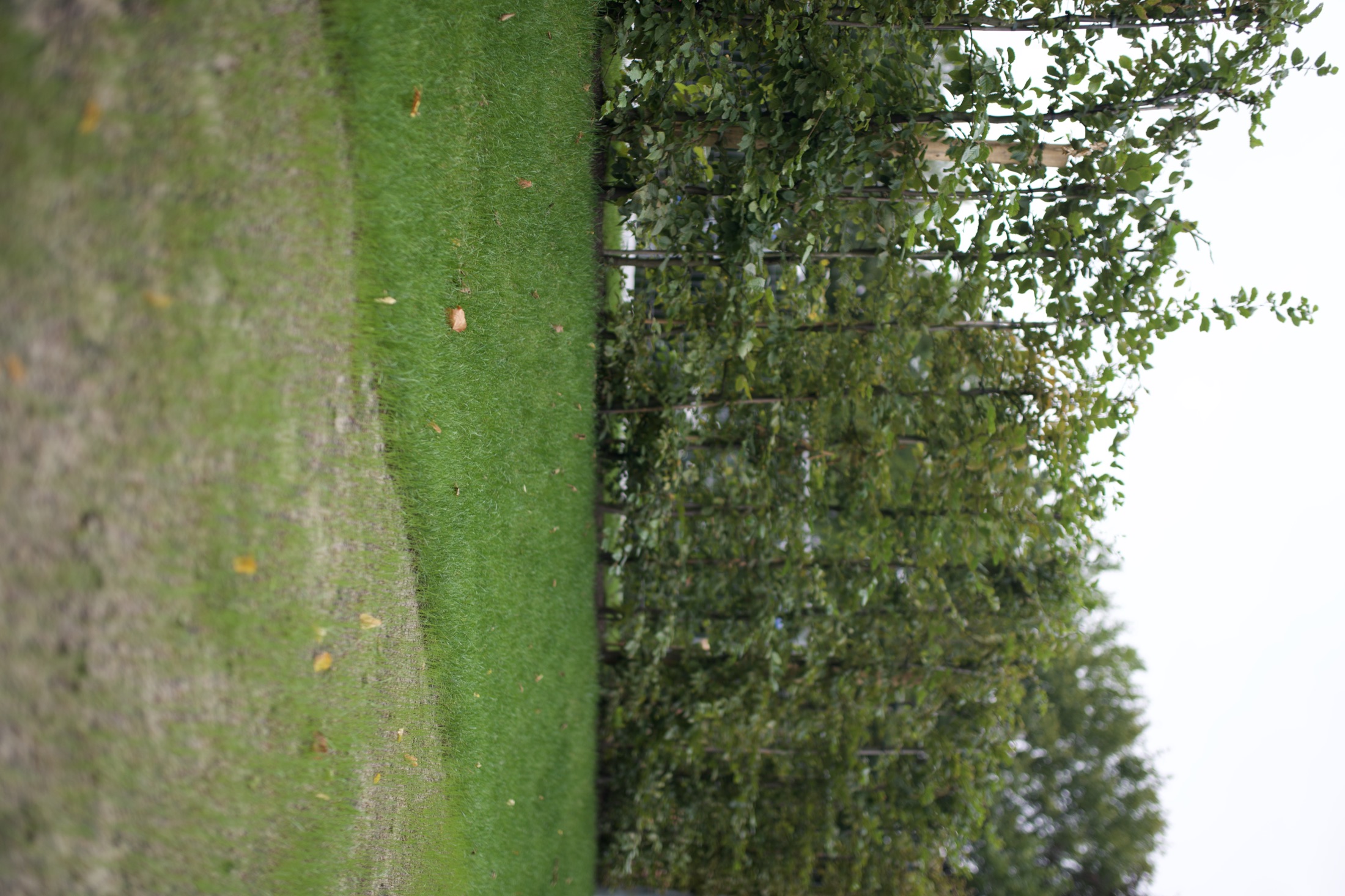 Sportplatz — Neubau mit Holzbau — Foto 26