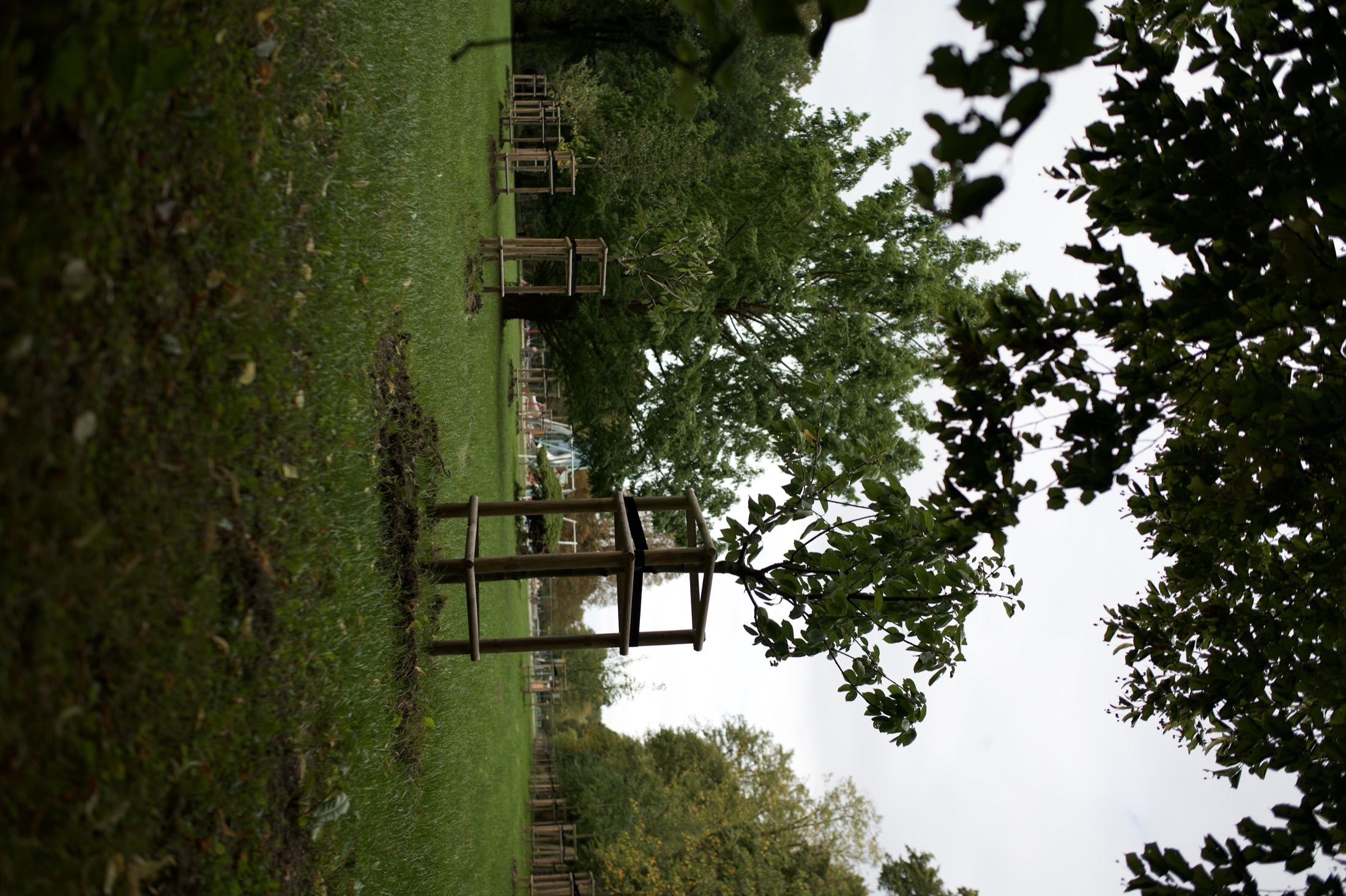 Spiel- und Außenanlage Wilhelmshaven — Foto 26